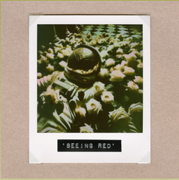 Seeing Red - Lyrics